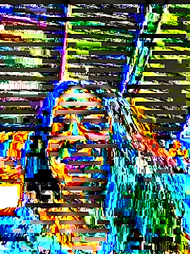 Sam Sara online show from December 20, 2025, 6:37 pm