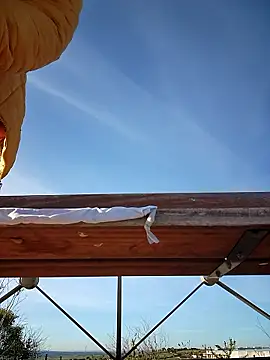 bellapaty online show from March 30, 2026, 8:04 am