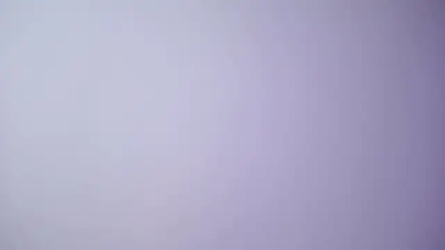 Snapshot of LesaisMore chatting on February 12, 2025, 8:06 am LesaisMore online show from February 12, 2025, 8:06 am