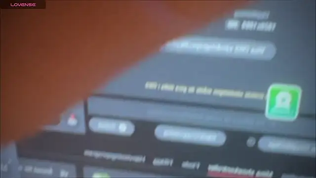 master 227 online show from January 9, 2025, 6:38 am