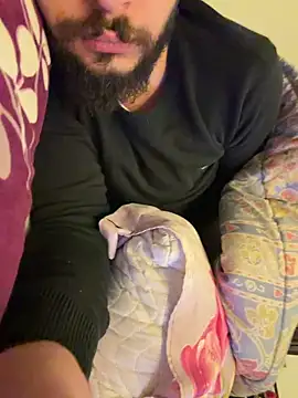 Snapshot of BigEgyptianDiick chatting on February 11, 2026, 12:26 am BigEgyptianDiick online show from February 11, 2026, 12:26 am