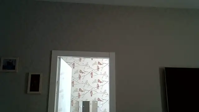 Snapshot of ZarinaSwift chatting on June 17, 2026, 9:45 am ZarinaSwift online show from June 17, 2026, 9:45 am