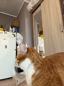 Snapshot of AmmyHot chatting on January 13, 2026, 4:07 am AmmyHot online show from January 13, 2026, 4:07 am