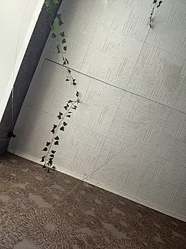 Snapshot of AmmyHot chatting on February 23, 2026, 5:05 am AmmyHot online show from February 23, 2026, 5:05 am