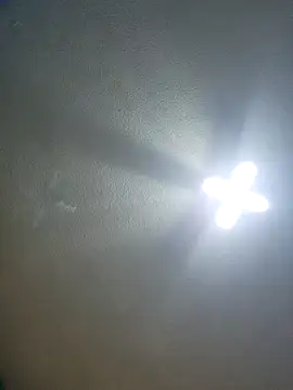 Ricorryxh online show from November 24, 2025, 11:48 pm