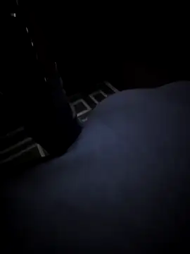 Southern Bella online show from November 20, 2025, 8:03 am