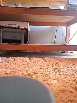 Snapshot of poloplayer123 chatting on February 13, 2026, 2:02 pm poloplayer123 online show from February 13, 2026, 2:02 pm