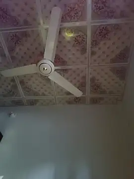 Dil-Ka-Radhika online show from November 29, 2025, 1:41 am