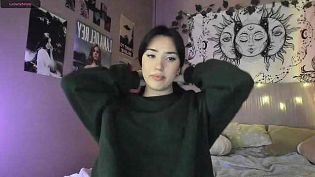 Snapshot of Anisawithlove chatting on January 29, 2025, 9:17 pm Anisawithlove online show from January 29, 2025, 9:17 pm