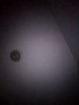 Snapshot of Treemandude chatting on January 15, 2026, 11:04 am Treemandude online show from January 15, 2026, 11:04 am