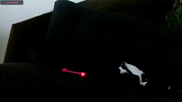 lady scarlettt online show from February 18, 2025, 4:26 pm