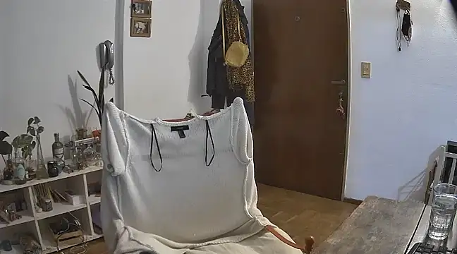 Snapshot of stupid_babybird chatting on December 21, 2024, 4:52 am stupid babybird online show from December 21, 2024, 4:52 am