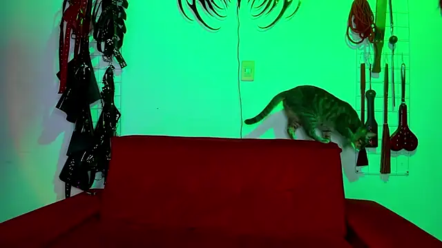 Snapshot of irregular_fetish_ chatting on February 19, 2026, 6:59 pm irregular fetish online show from February 19, 2026, 6:59 pm