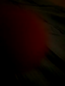 Ovidiu Alex94 online show from December 21, 2025, 1:35 am