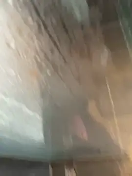 Snapshot of LivingLegend1978 chatting on February 15, 2026, 8:46 am LivingLegend1978 online show from February 15, 2026, 8:46 am