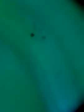 sm4lld1ck online show from October 31, 2025, 11:39 pm