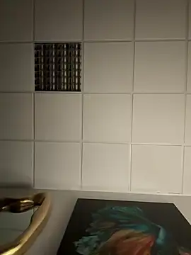 Snapshot of hardmecl chatting on February 12, 2025, 8:50 pm hardmecl online show from February 12, 2025, 8:50 pm