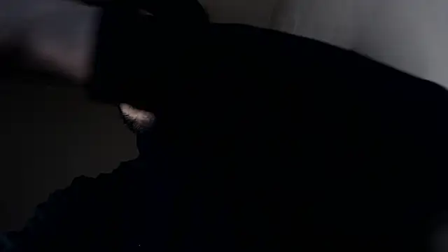 Snapshot of henryaxe chatting on January 17, 2026, 9:47 am henryaxe online show from January 17, 2026, 9:47 am