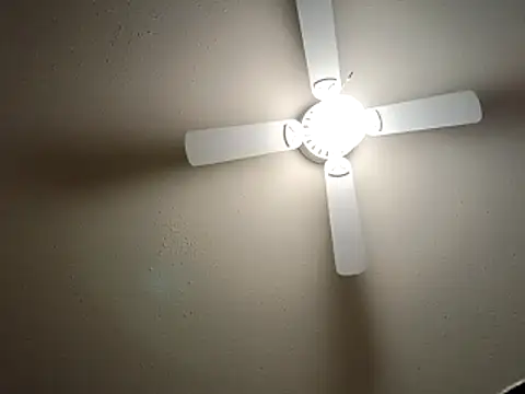 Snapshot of EXOTICLEXXXI chatting on December 23, 2025, 3:37 am EXOTICLEXXXI online show from December 23, 2025, 3:37 am