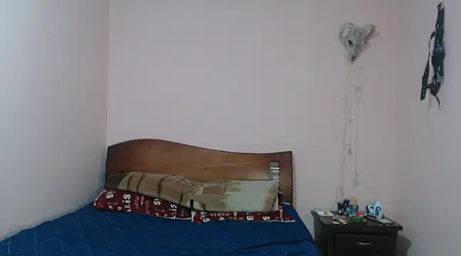 Snapshot of CoreAlejito chatting on January 16, 2025, 8:25 pm CoreAlejito online show from January 16, 2025, 8:25 pm