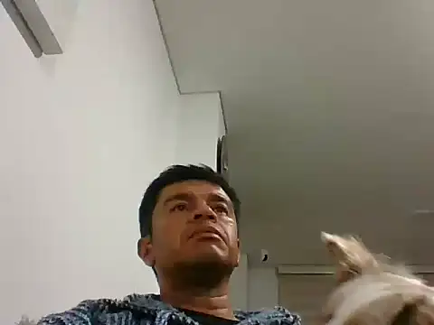 Snapshot of perxxxeo_ chatting on October 11, 2025, 1:38 am perxxxeo online show from October 11, 2025, 1:38 am