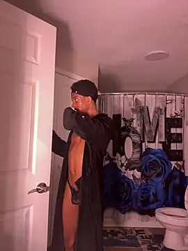 Snapshot of nosleepforlink chatting on December 3, 2024, 4:17 pm nosleepforlink online show from December 3, 2024, 4:17 pm