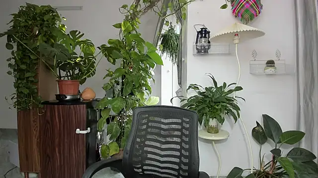 Oliver Nl online show from November 17, 2025, 5:24 am