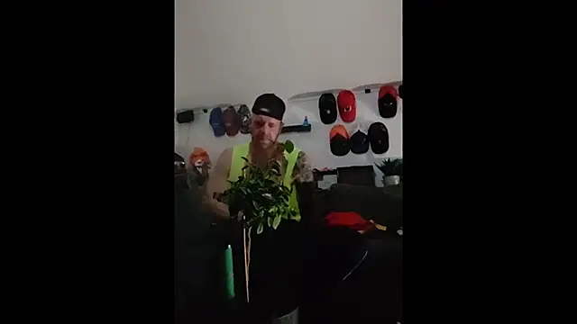 eltoulou online show from January 12, 2025, 6:05 pm