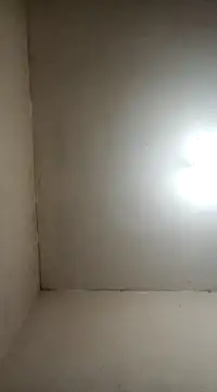 fieltoprj1 online show from January 5, 2025, 8:11 am