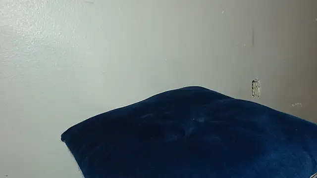 Snapshot of Dogz_n_daugthers chatting on December 20, 2024, 8:17 am Dogz n daugthers online show from December 20, 2024, 8:17 am