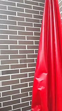 Deisy Torres online show from January 8, 2026, 8:33 pm