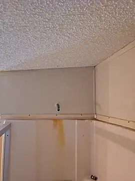 Dixiefaye Pika online show from February 18, 2025, 6:15 pm