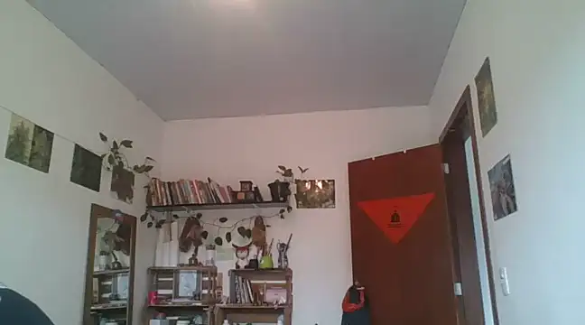 SweetyBabyDemon online show from December 9, 2024, 1:24 pm