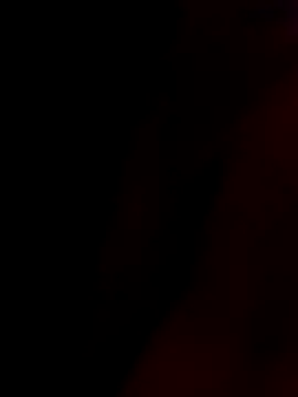 rau 4455 online show from November 7, 2025, 12:05 pm