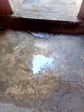 rau 4455 online show from November 24, 2025, 9:31 am