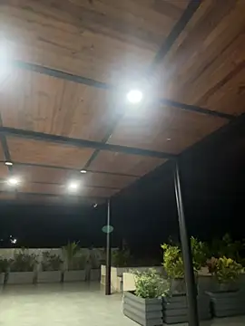 Brunettexio online show from December 24, 2024, 2:10 am