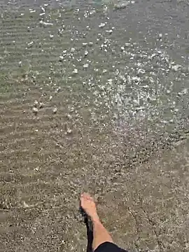 SexyErola27 online show from March 24, 2026, 12:32 pm