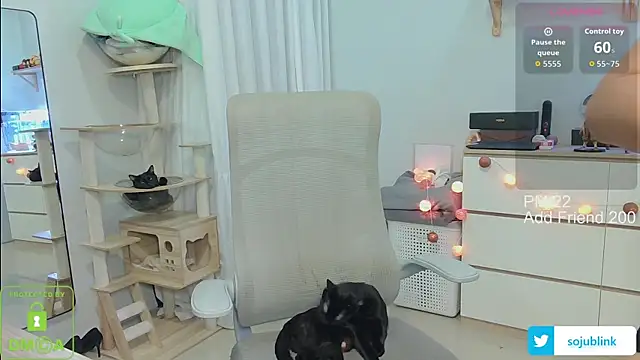 littlemiilk online show from January 13, 2026, 8:08 am