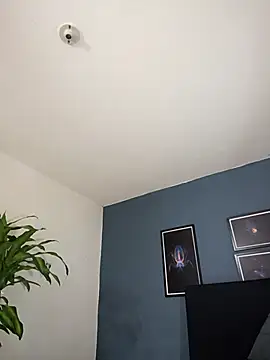 Snapshot of SilvaBranko chatting on October 26, 2025, 10:04 pm SilvaBranko online show from October 26, 2025, 10:04 pm