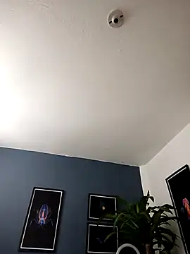 Snapshot of SilvaBranko chatting on November 30, 2025, 12:03 am SilvaBranko online show from November 30, 2025, 12:03 am