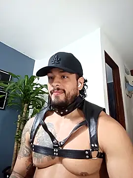 Snapshot of SilvaBranko chatting on December 17, 2025, 12:49 am SilvaBranko online show from December 17, 2025, 12:49 am