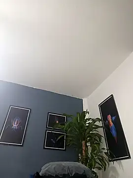 Snapshot of SilvaBranko chatting on December 19, 2025, 2:07 am SilvaBranko online show from December 19, 2025, 2:07 am