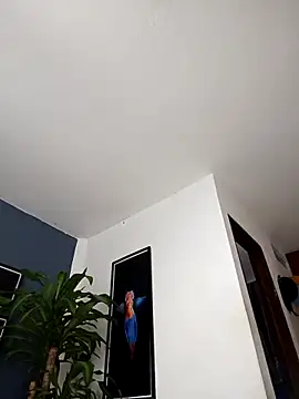 Snapshot of SilvaBranko chatting on December 20, 2025, 2:07 am SilvaBranko online show from December 20, 2025, 2:07 am