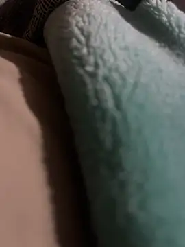 Snapshot of cheesecoc chatting on February 17, 2026, 10:05 pm cheesecoc online show from February 17, 2026, 10:05 pm