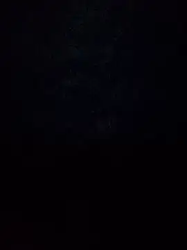 Armyexhibitionistvet online show from November 13, 2025, 2:27 pm