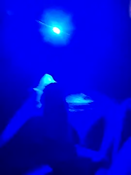 prcalek19 online show from November 20, 2025, 7:46 pm