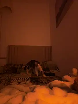 Snapshot of Sashabunny chatting on February 12, 2026, 8:15 pm Sashabunny online show from February 12, 2026, 8:15 pm