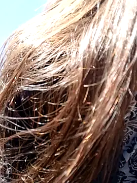 Violeta 12- online show from December 11, 2024, 3:58 pm