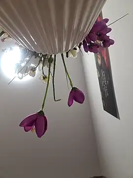 Snapshot of CoupleHot_69_DreamSex chatting on March 6, 2026, 4:47 pm CoupleHot 69 DreamSex online show from March 6, 2026, 4:47 pm