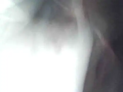 Snapshot of technodotado chatting on April 23, 2026, 2:13 am technodotado online show from April 23, 2026, 2:13 am